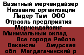 Визитный мерчендайзер › Название организации ­ Лидер Тим, ООО › Отрасль предприятия ­ Мерчендайзинг › Минимальный оклад ­ 18 000 - Все города Работа » Вакансии   . Амурская обл.,Магдагачинский р-н